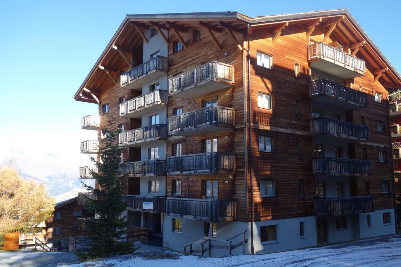 Pracondu 1 Outdoor & Fun Appartement 1 Chambre Superieur Avec Balcon By Alpvision Residences Nendaz Exteriér fotografie